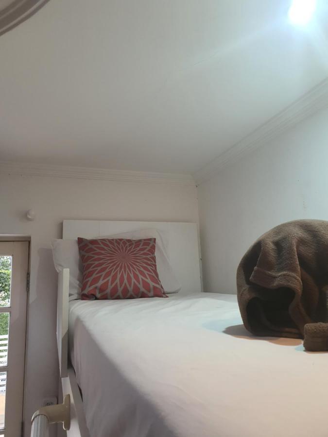 Villa Hostel Sp - Proximo Ao Allianz Parque E Paulista 상파울루 외부 사진